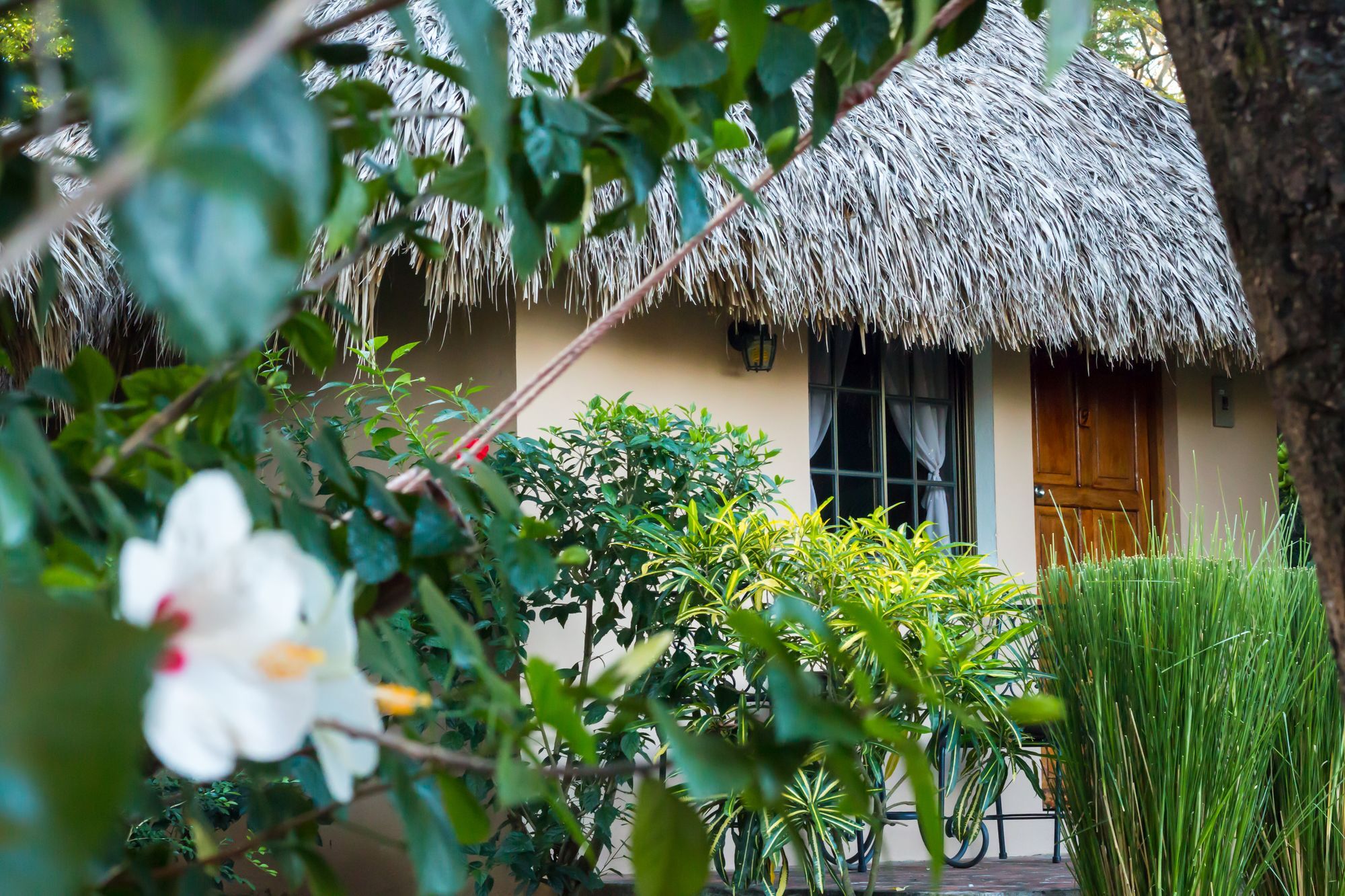 Hotel Mariposa Leon Exterior photo